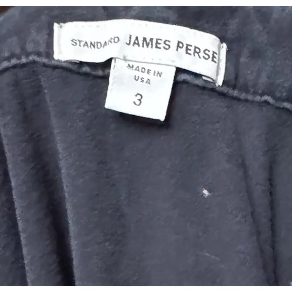 James Perse Shirt Lot of 2 Size 3 Gray Long Sleeve Blue Polo USA Made Cotton - Picture 10 of 12
